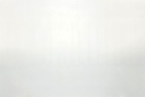 Fashion White