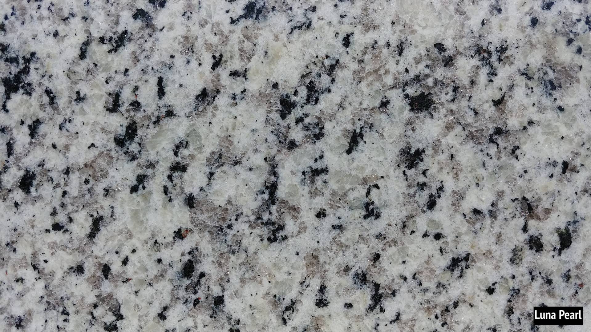 Luna Pearl